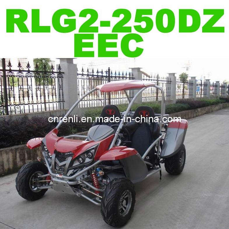 Beach-Buggy-RLG2-250DZ-.jpg