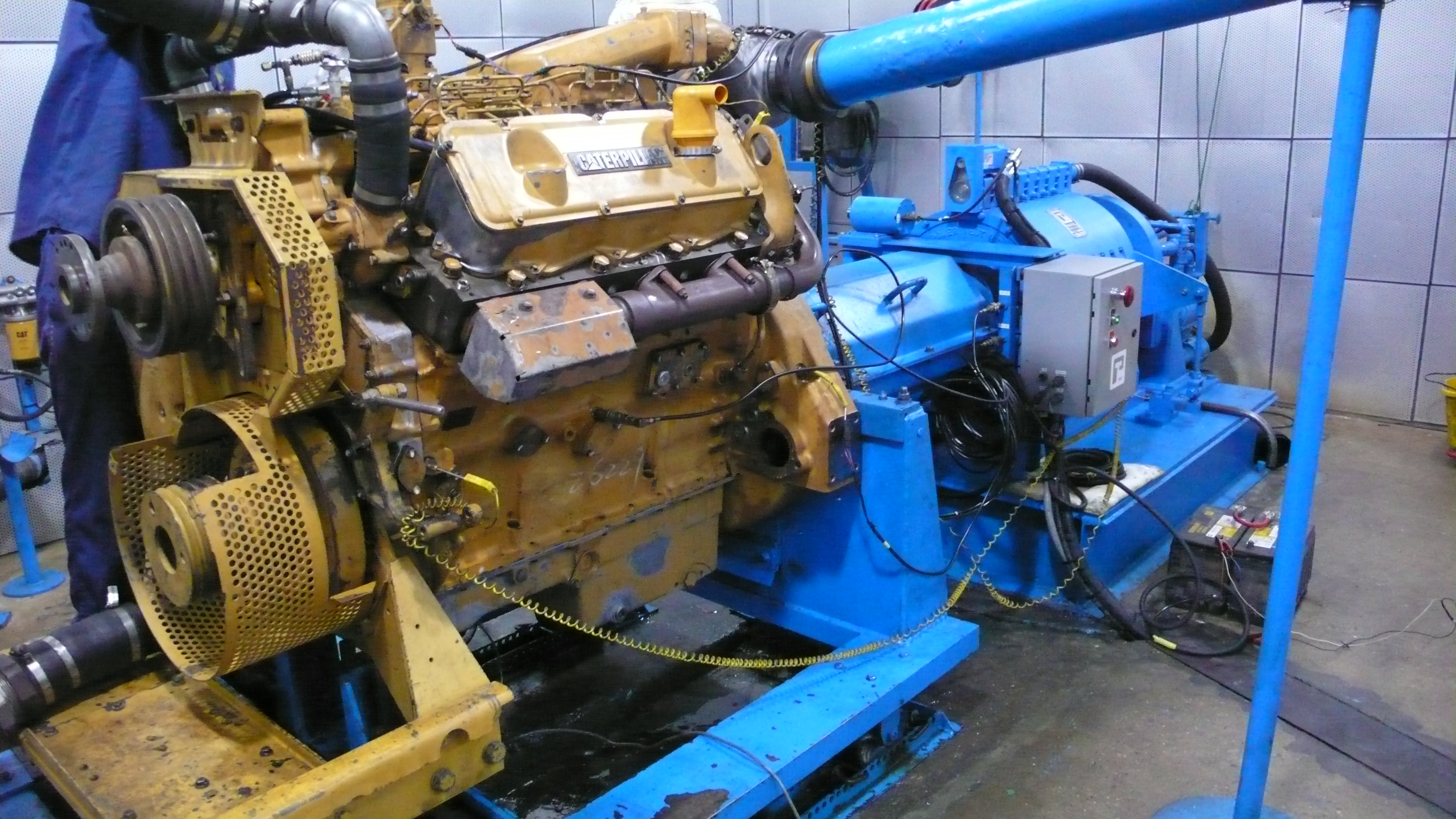 P1000280.JPG