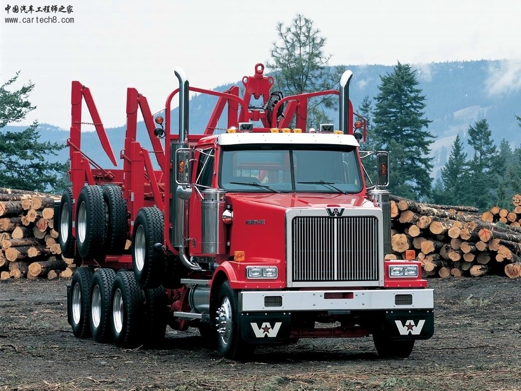 ZXC015.jpg