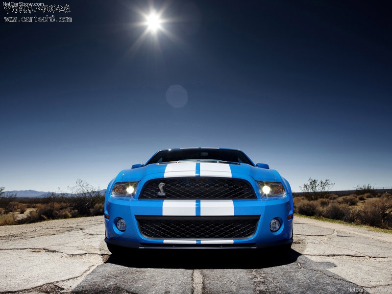 Ford-Mustang_Shelby_GT500_2010_800x600_wallpaper_0a.jpg