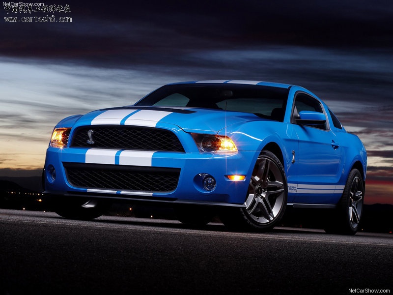 Ford-Mustang_Shelby_GT500_2010_800x600_wallpaper_02.jpg