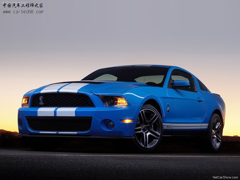 Ford-Mustang_Shelby_GT500_2010_800x600_wallpaper_03.jpg