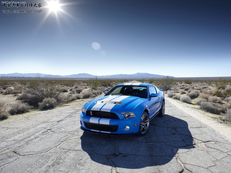 Ford-Mustang_Shelby_GT500_2010_800x600_wallpaper_04.jpg