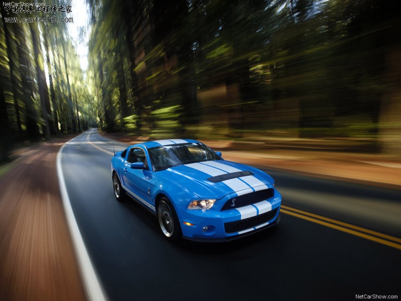 Ford-Mustang_Shelby_GT500_2010_800x600_wallpaper_05.jpg