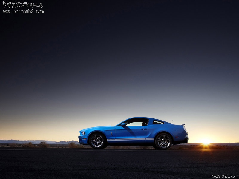 Ford-Mustang_Shelby_GT500_2010_800x600_wallpaper_07.jpg