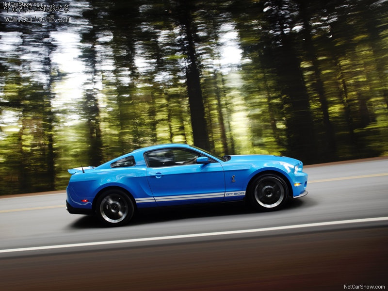 Ford-Mustang_Shelby_GT500_2010_800x600_wallpaper_08.jpg