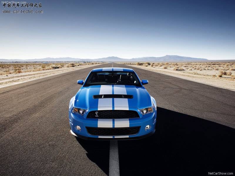 Ford-Mustang_Shelby_GT500_2010_800x600_wallpaper_09.jpg