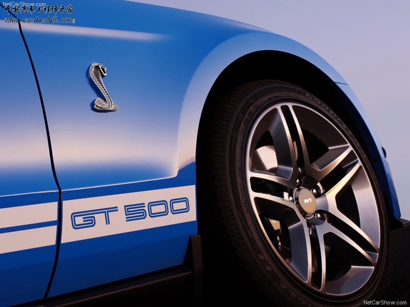 Ford-Mustang_Shelby_GT500_2010_800x600_wallpaper_1c.jpg