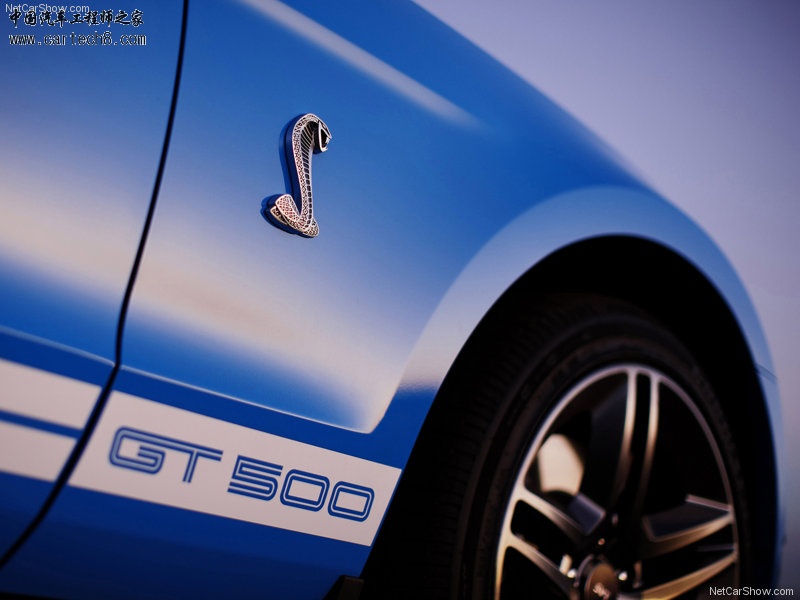 Ford-Mustang_Shelby_GT500_2010_800x600_wallpaper_1d.jpg