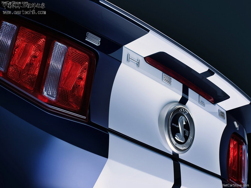 Ford-Mustang_Shelby_GT500_2010_800x600_wallpaper_1e.jpg