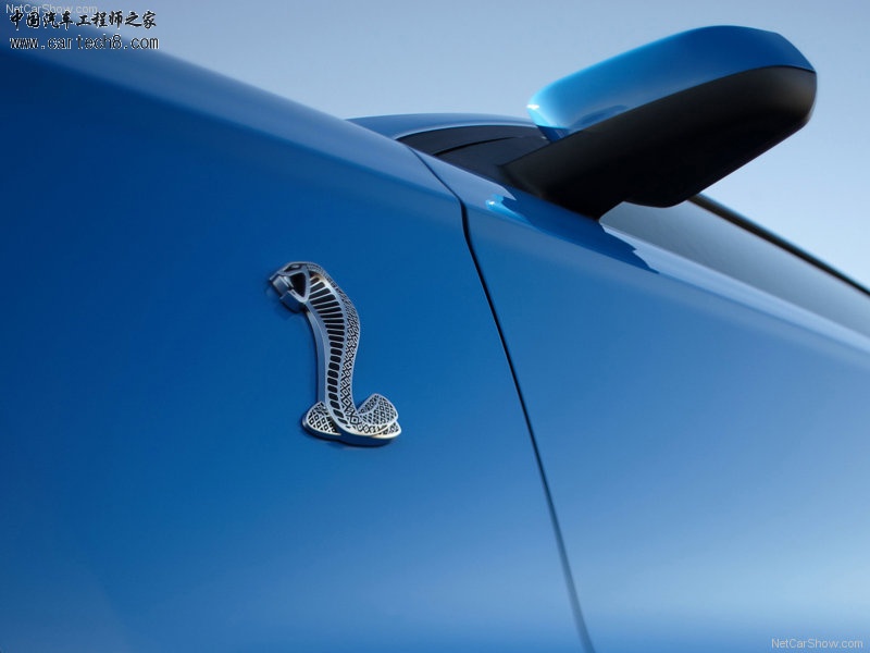 Ford-Mustang_Shelby_GT500_2010_800x600_wallpaper_20.jpg