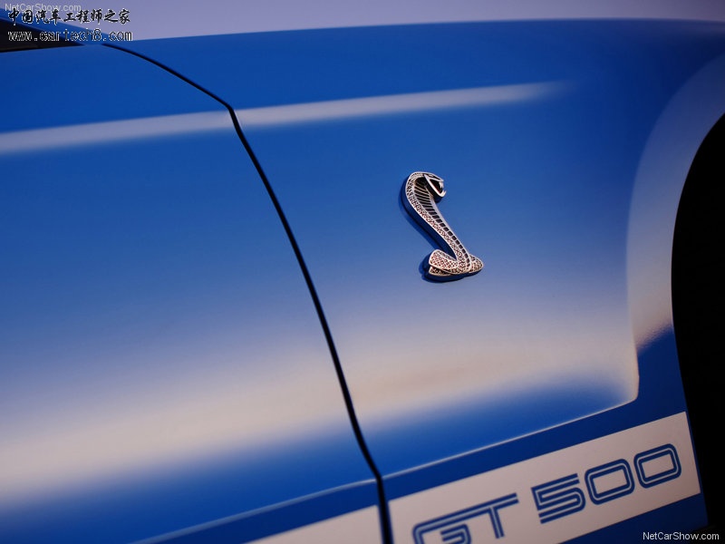 Ford-Mustang_Shelby_GT500_2010_800x600_wallpaper_21.jpg