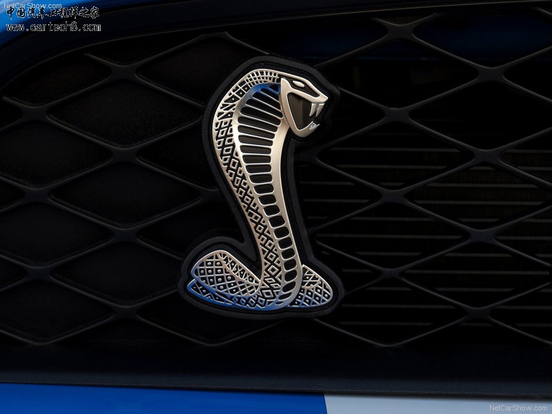 Ford-Mustang_Shelby_GT500_2010_800x600_wallpaper_23.jpg