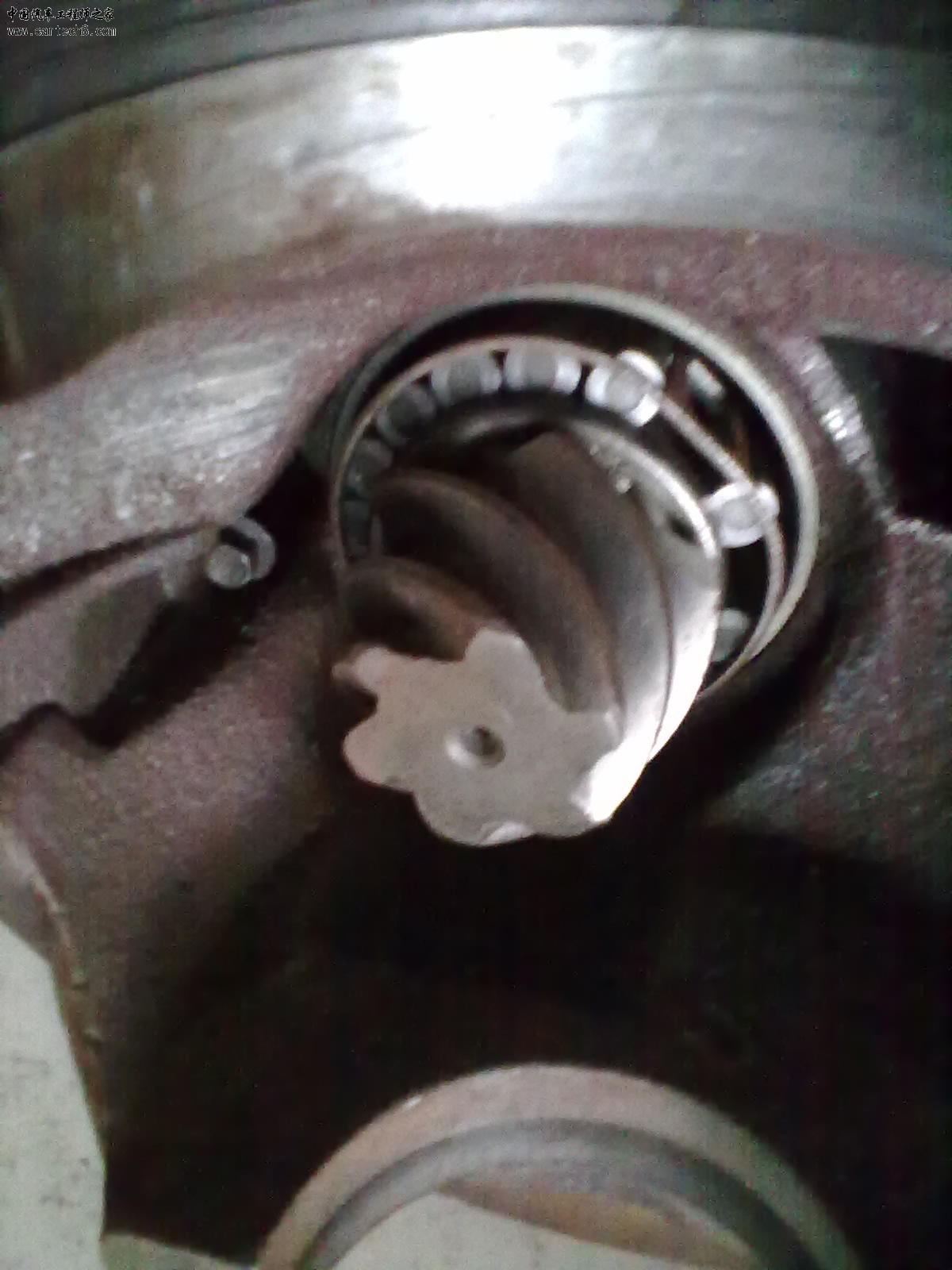 20120316681.jpg