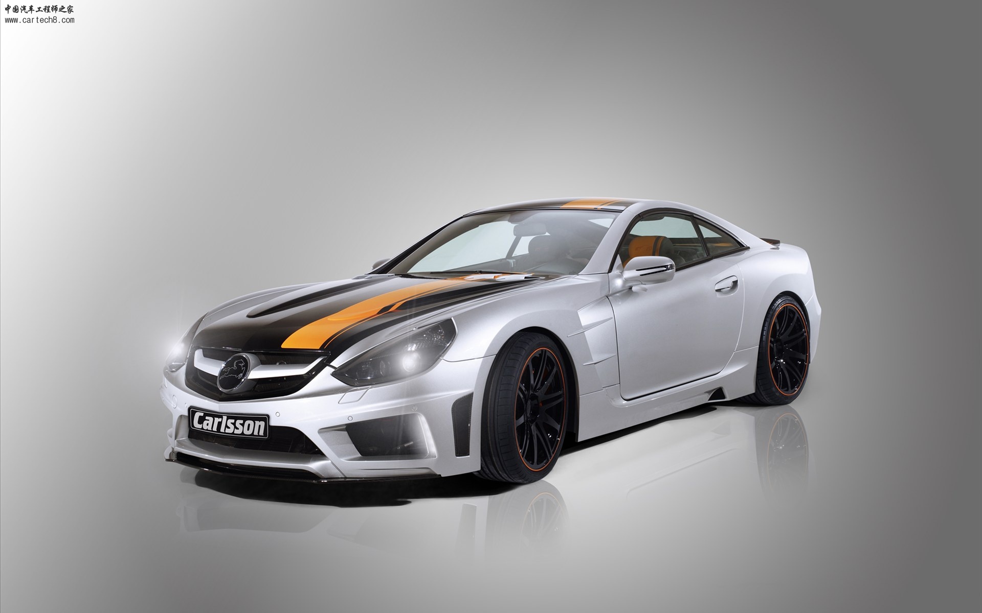 Carlsson-super-gt-c25-2010-02.jpg