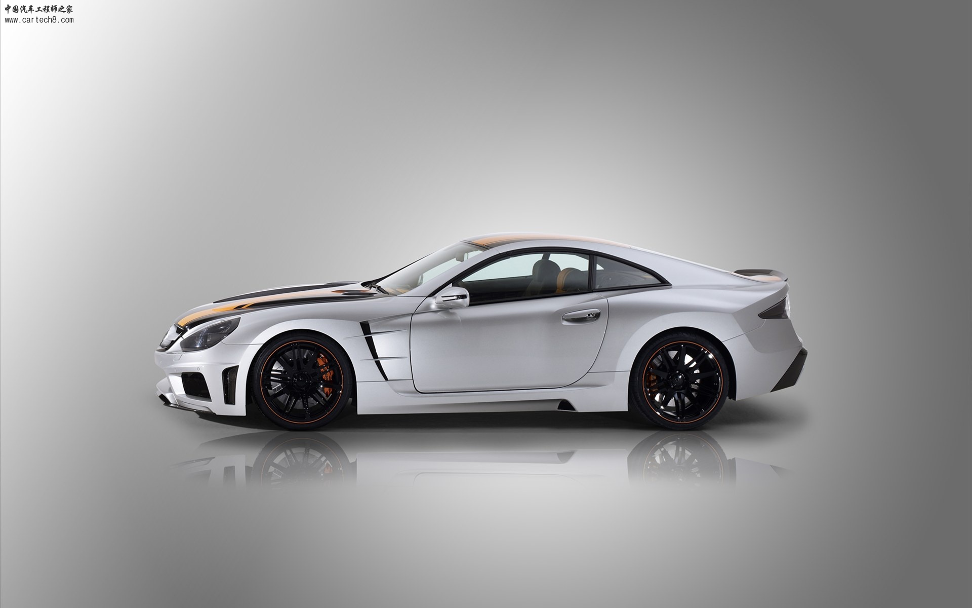 Carlsson-super-gt-c25-2010-07.jpg