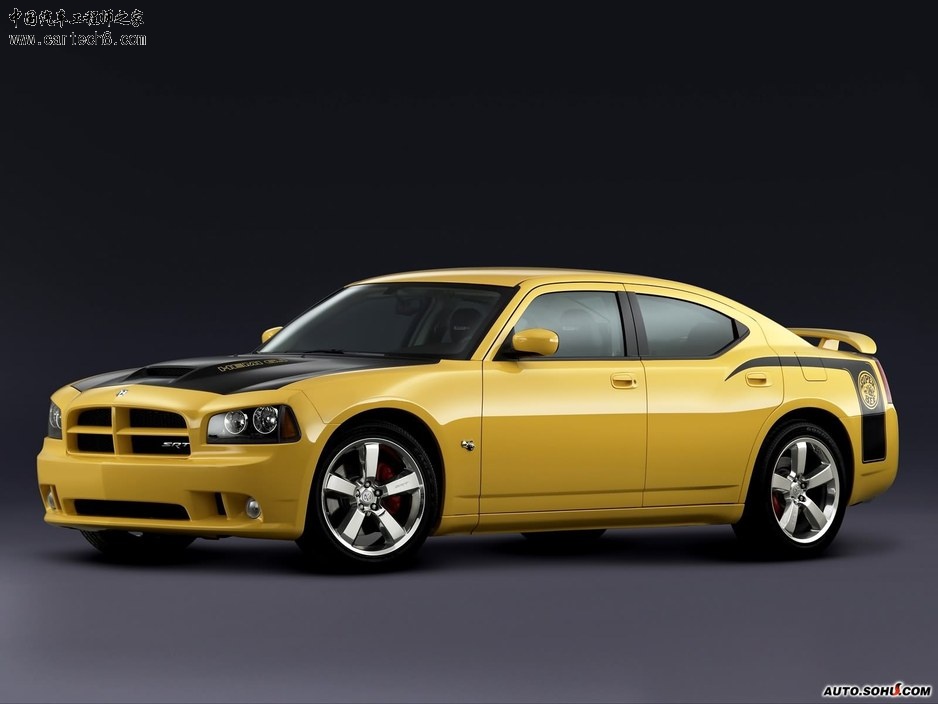 Img166241_t.jpg