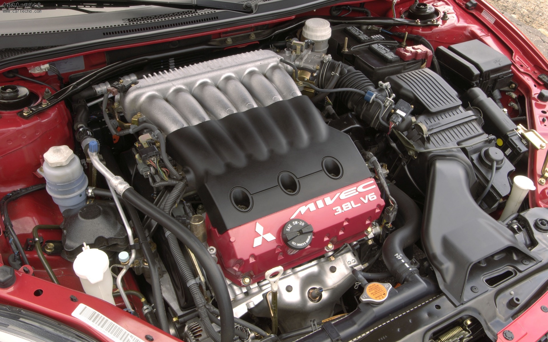 1229994809852ts5bkudojb[1].jpg