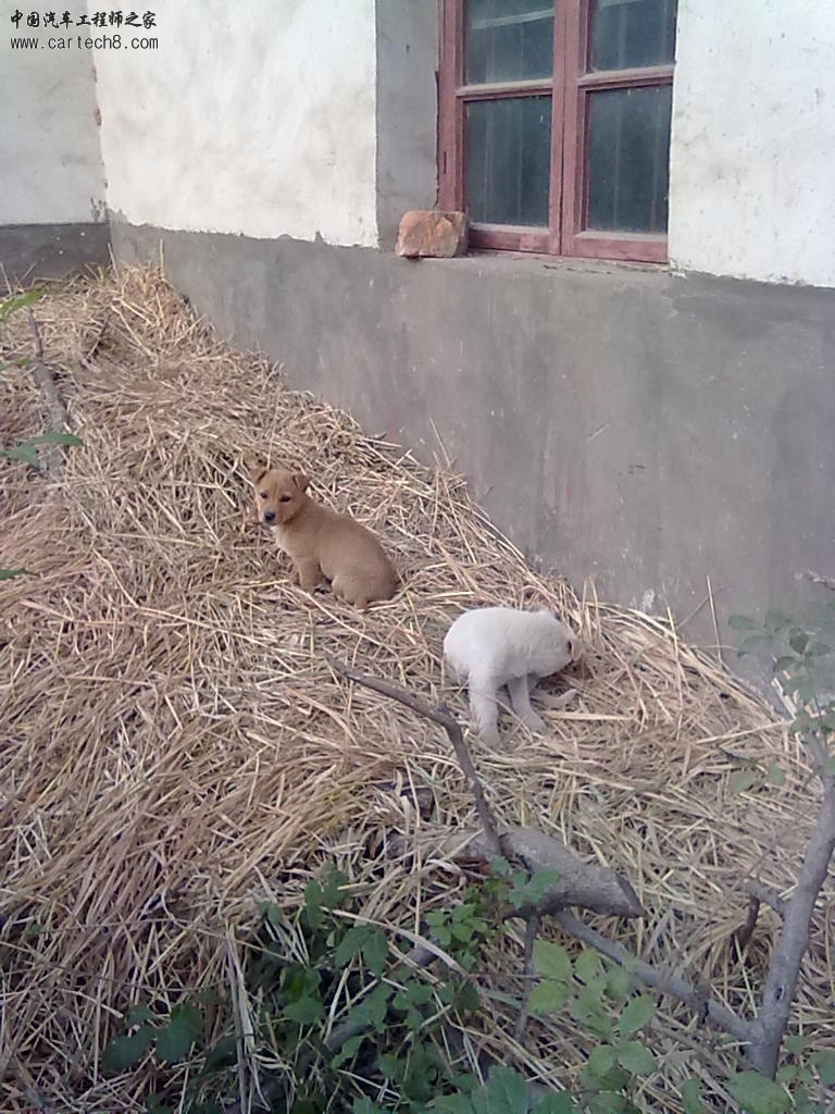 201211262700.jpg