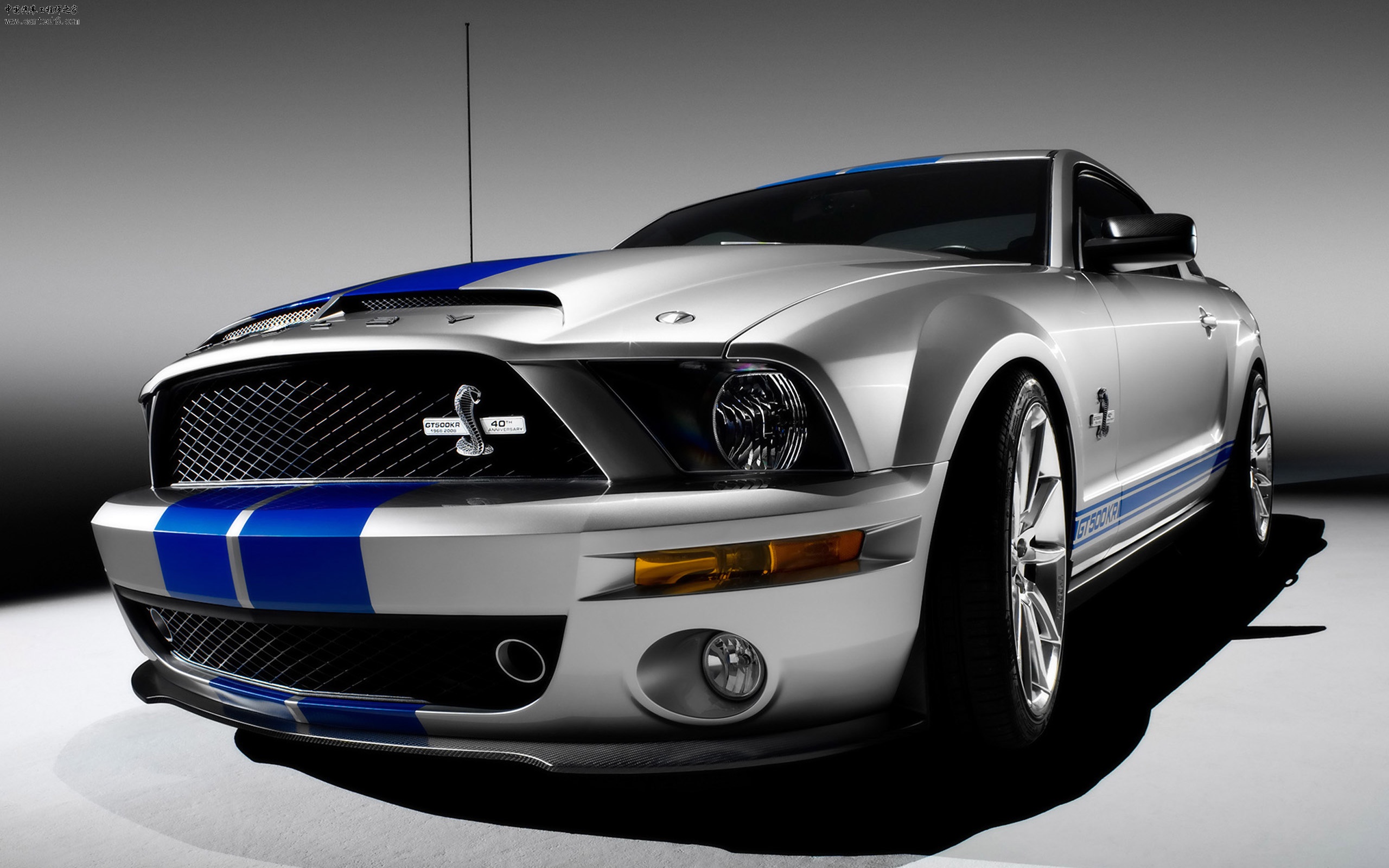 汽车福特野马Shelby GT500-02.jpg