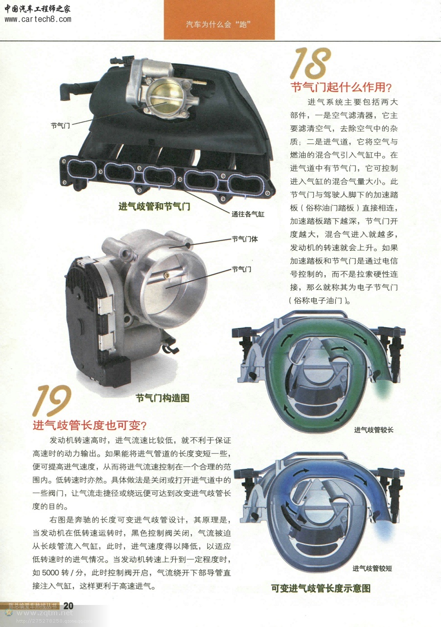 psb2648771091754620926.jpg