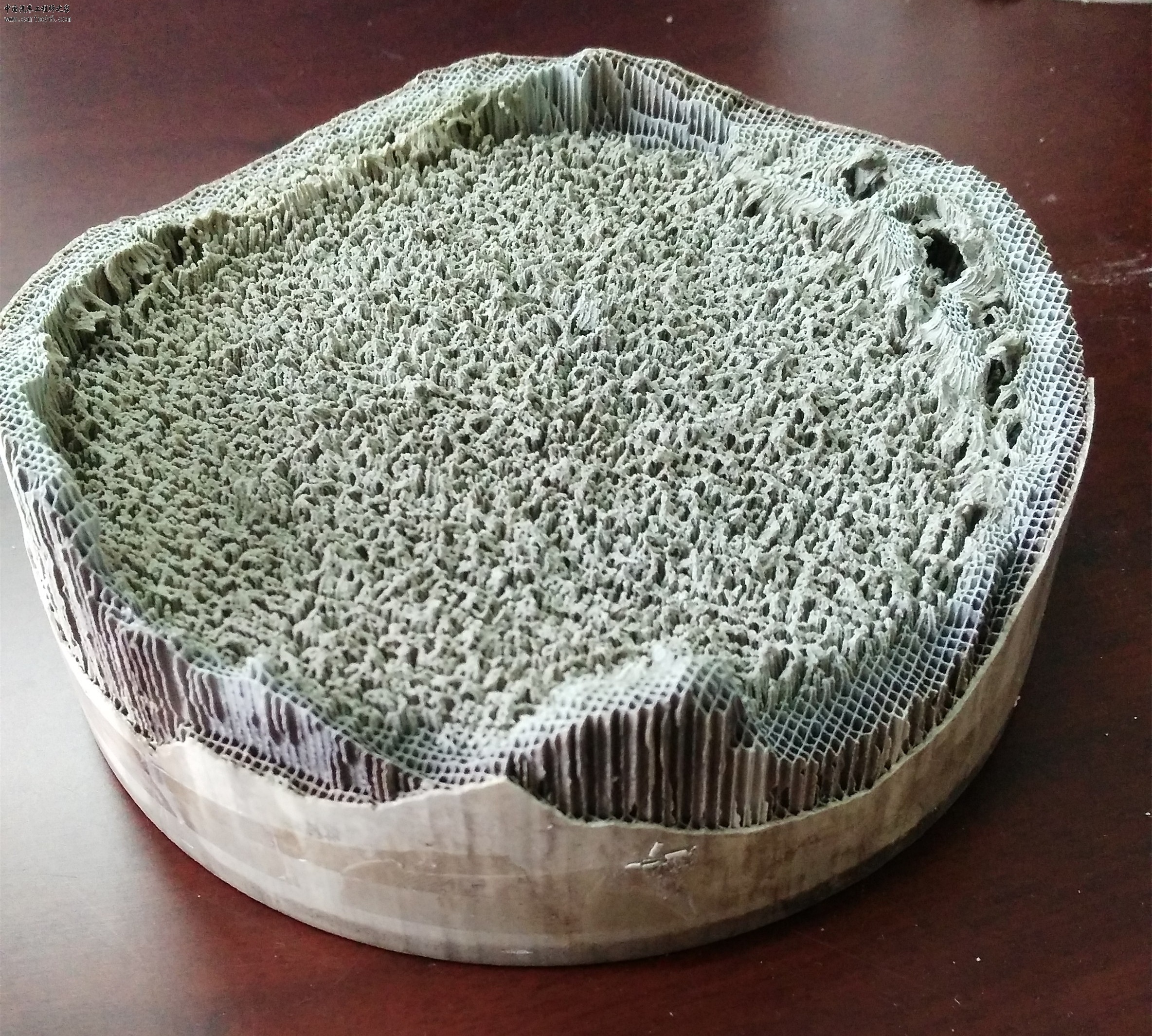 三元催化器中毒失效 (10).jpg