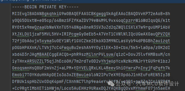 汽车信息安全--对CryptoDriver里密钥格式定义的探索w2.jpg
