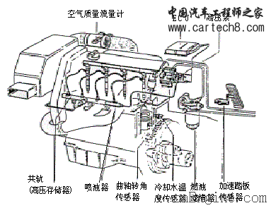 5.gif