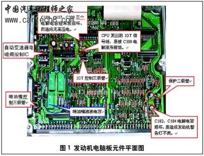tu11107.jpg