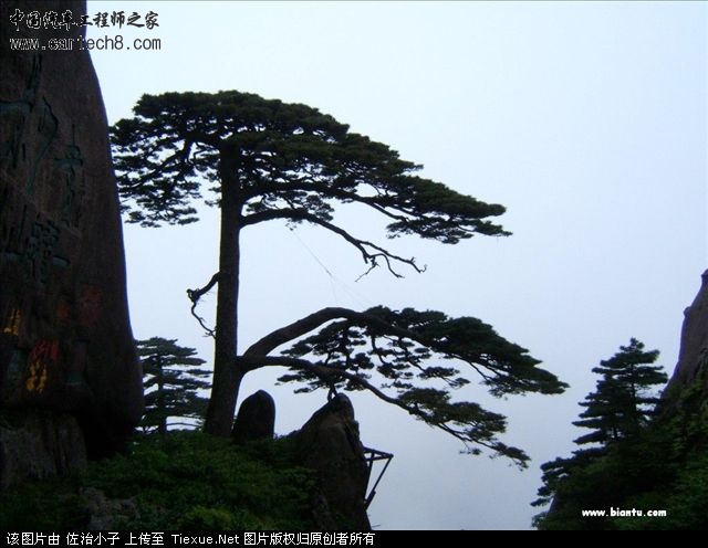 2008_10_9_32868_8032868.jpg