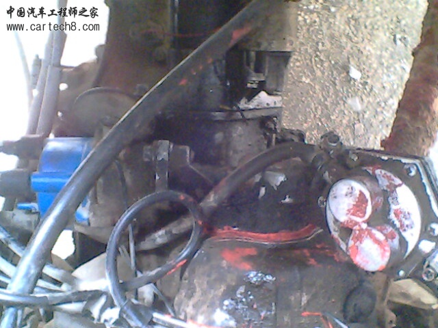 IMG0110A.jpg