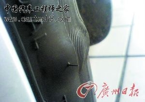 5811056_0.jpg