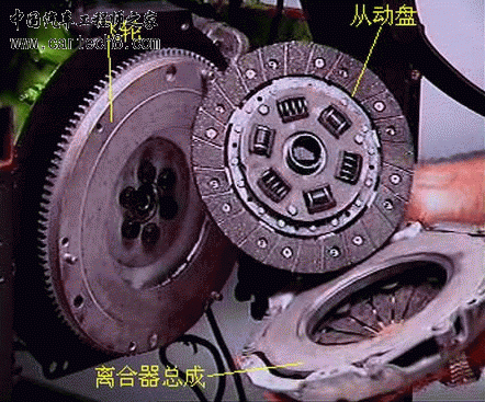 016.gif