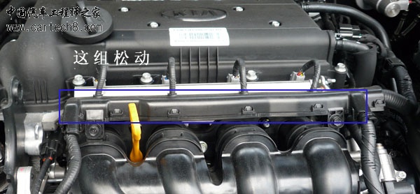 P1040238副本.gif