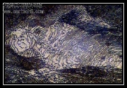 珠光体-400X-3.jpg