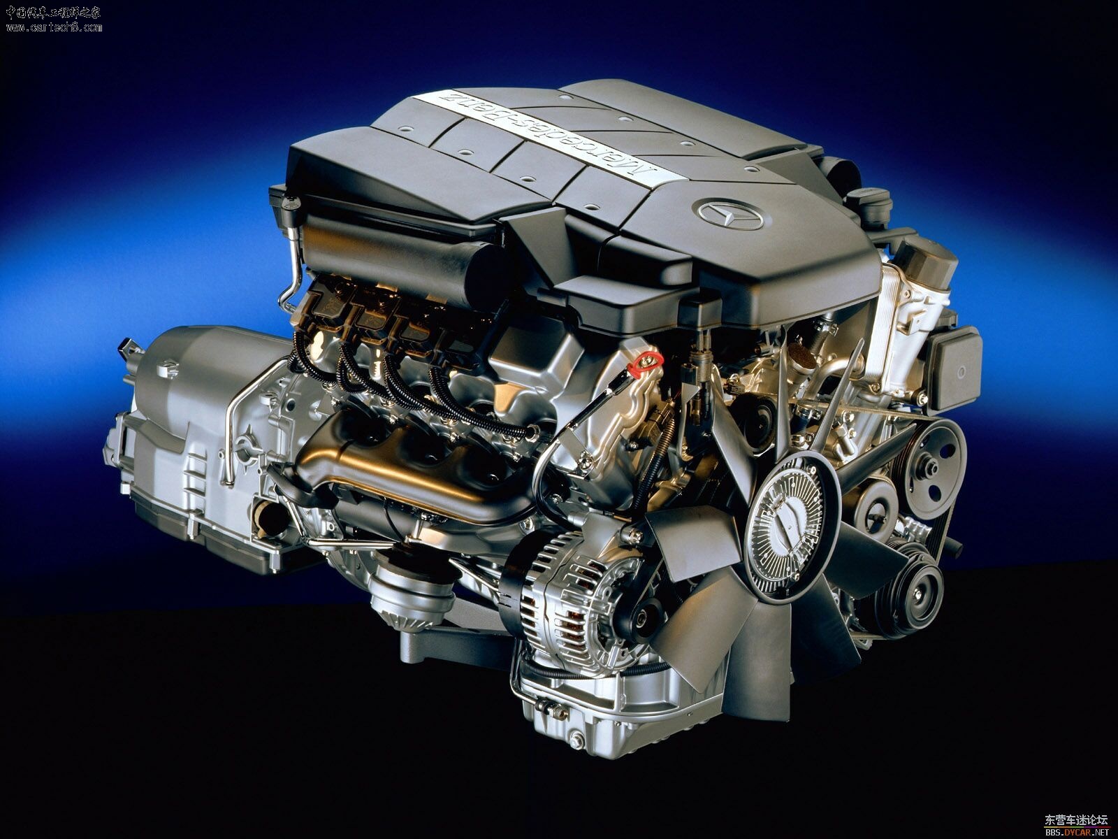 dd74003aecc123edd462257a.jpg