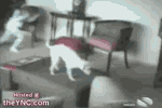 2DEF90B42B28574F309F401C7513BBB6.gif