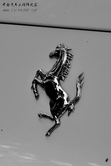 1012261800e42325099194a53d.jpg