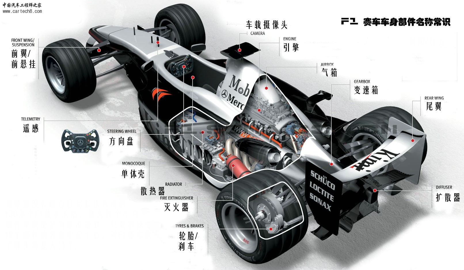 F1.jpg